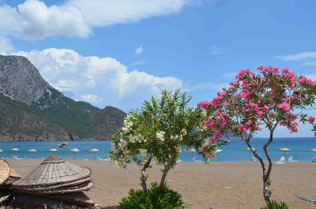 On Hotel Адрасан Экстерьер фото